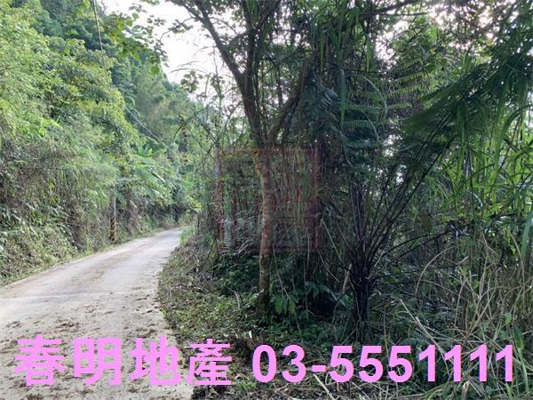 新竹尖石林地-6