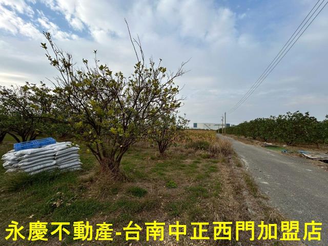 台南麻豆農地-7