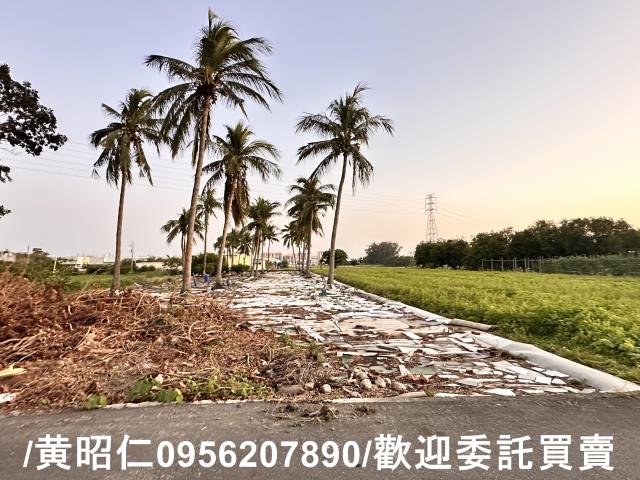 台南仁德農地-11