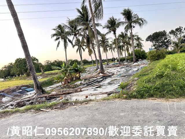台南仁德農地-3