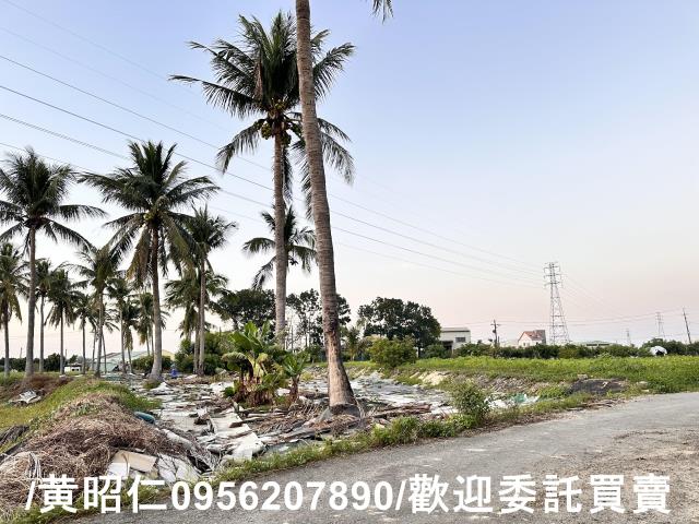 台南仁德農地-9