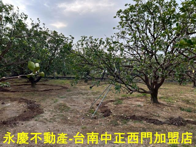 台南麻豆農地-3