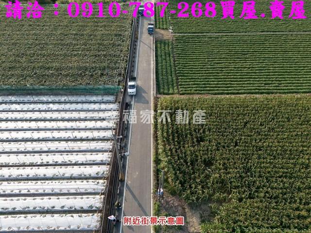柳營農地-11