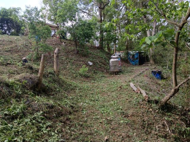 台中太平農地-14