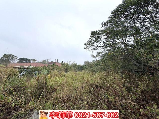 台南東山農地-7