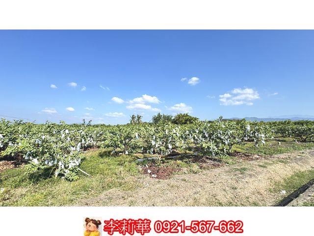 台南玉井農地-8