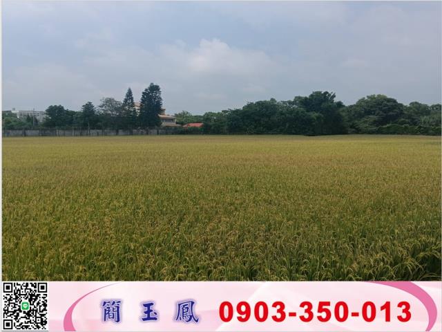 桃園龍潭農地-1