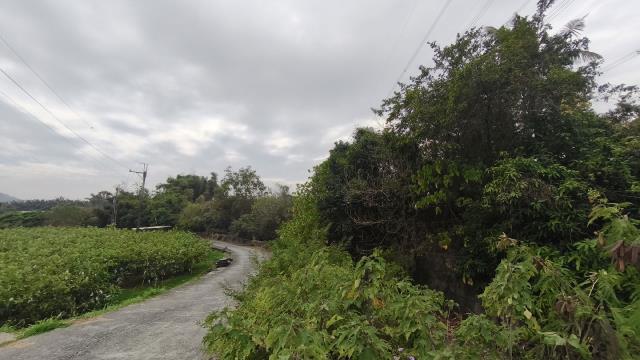阿蓮農地-1
