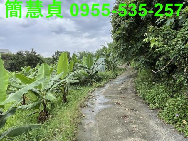 南投草屯農地-4