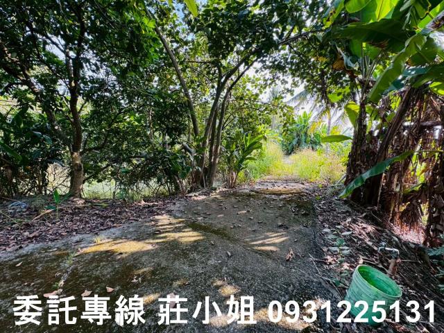 台南左鎮農地-3