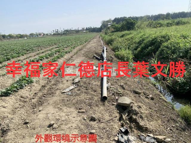 善化農地-13
