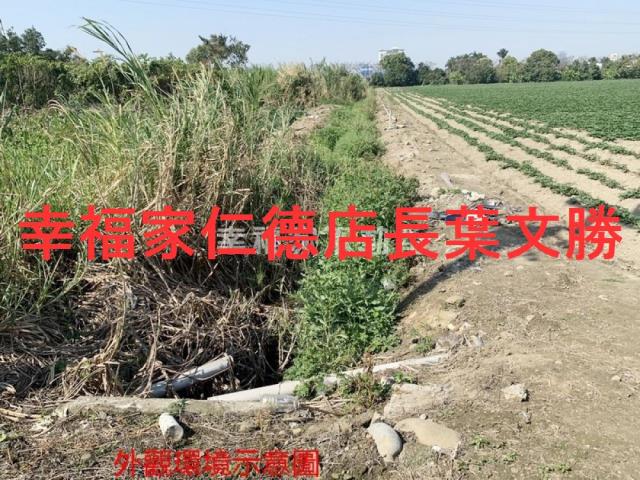 善化農地-3