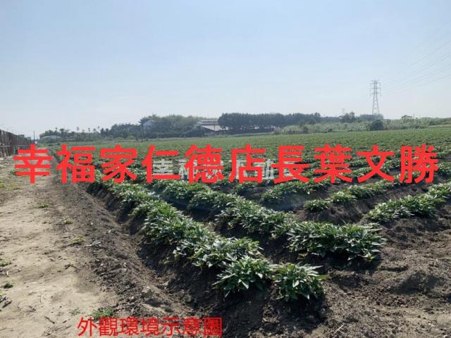 善化農地-4