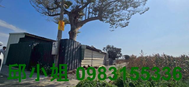 嘉義六腳農地-1