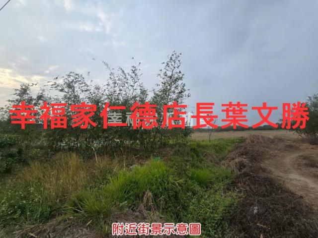 台南歸仁農地-8