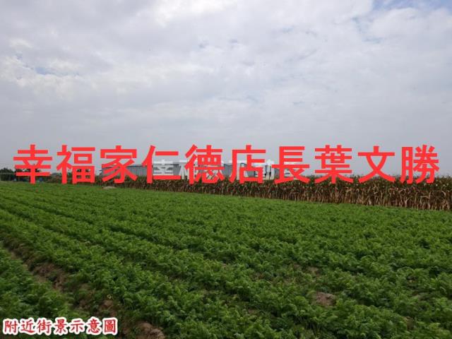 台南安定農地-15