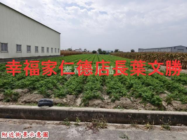 台南安定農地-2