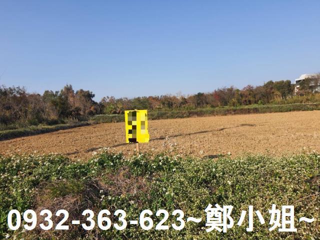楊梅農地-3