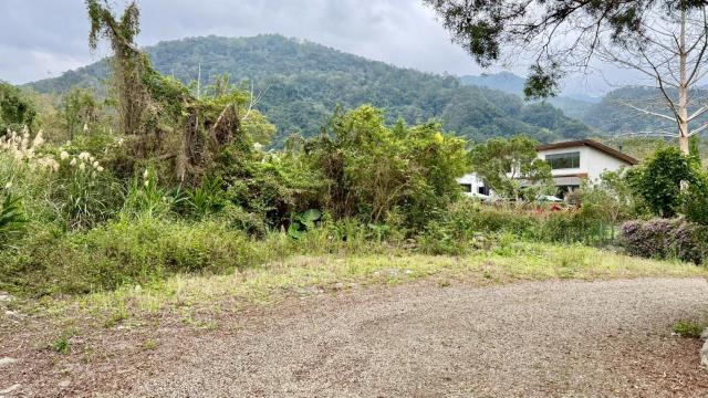 新竹橫山農地-4