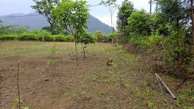 新竹橫山農地-6