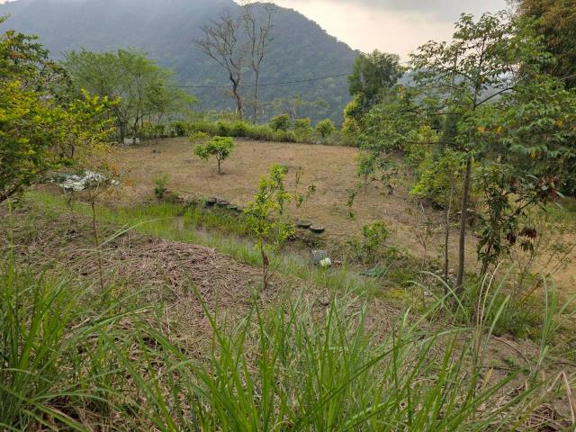 新竹橫山農地-10