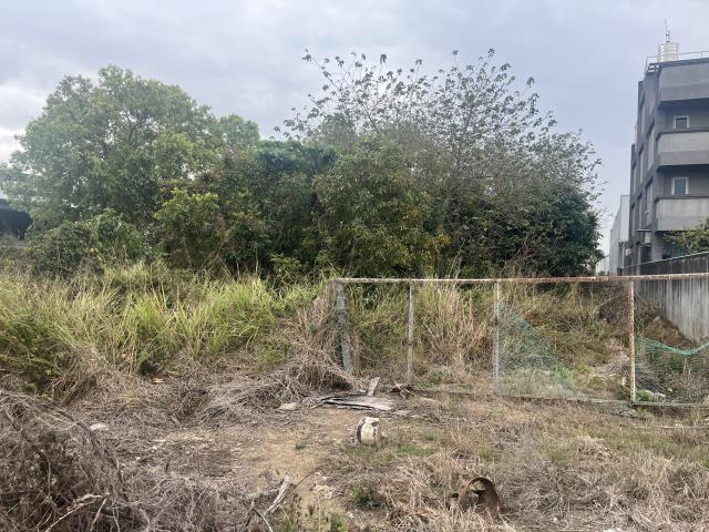 台中大雅農地-9