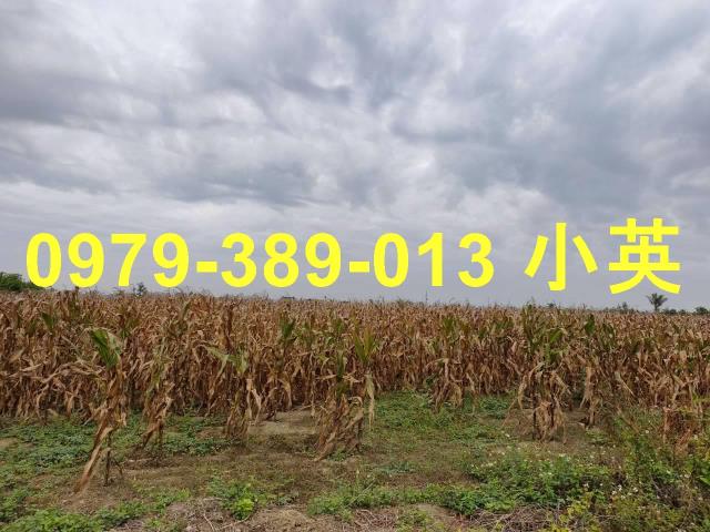 台南鹽水農地-3