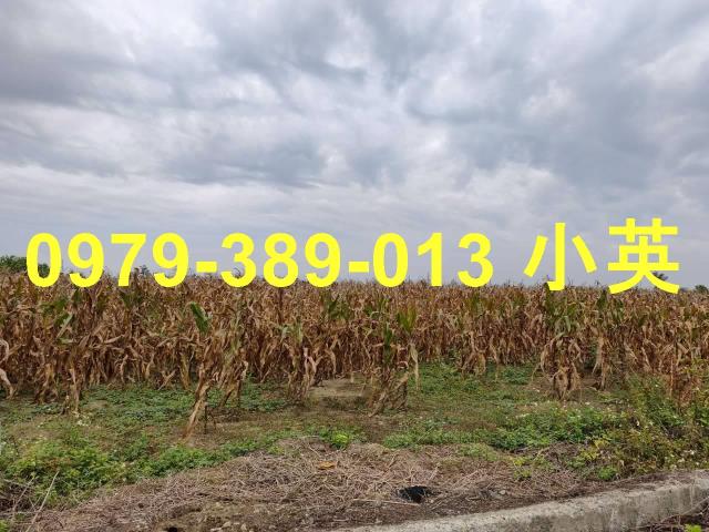 台南鹽水農地-5