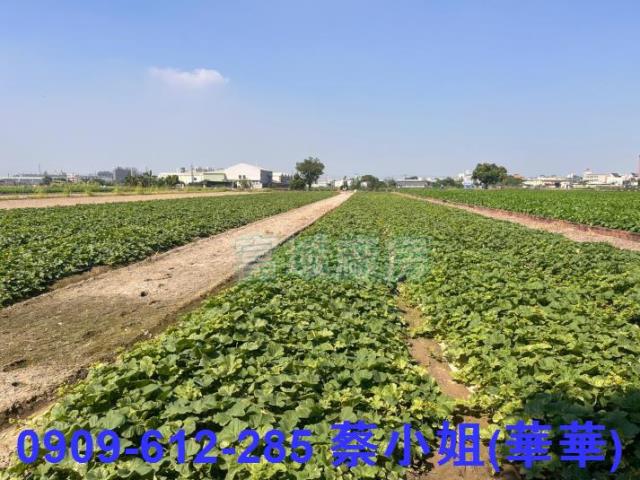 大寮農地-2