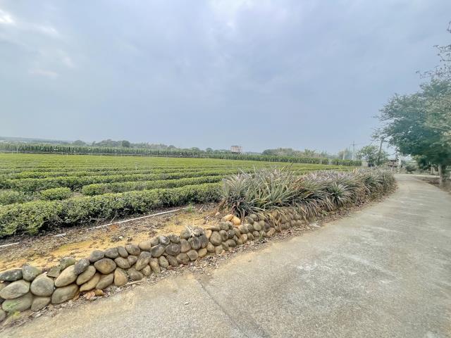 南投名間農地-2