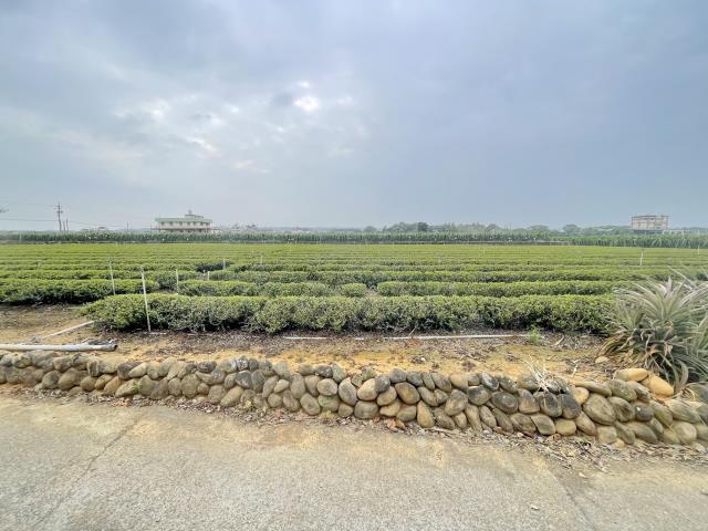 南投名間農地-3