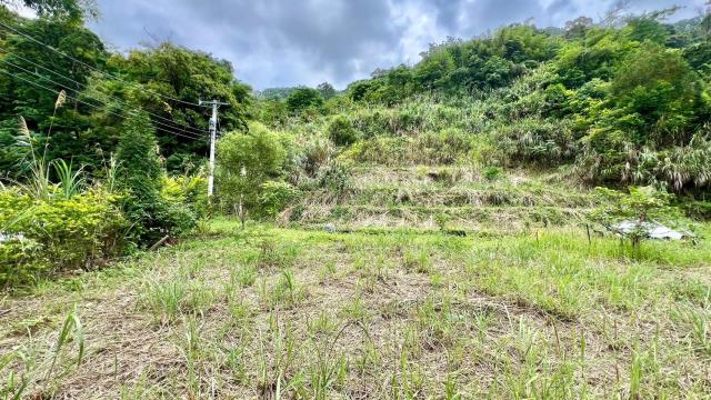 新竹橫山農地-6