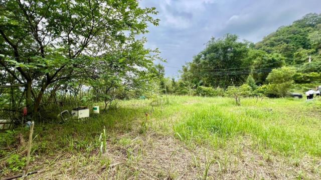 新竹橫山農地-8