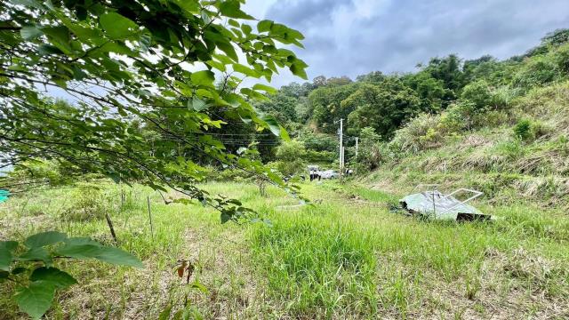 新竹橫山農地-9