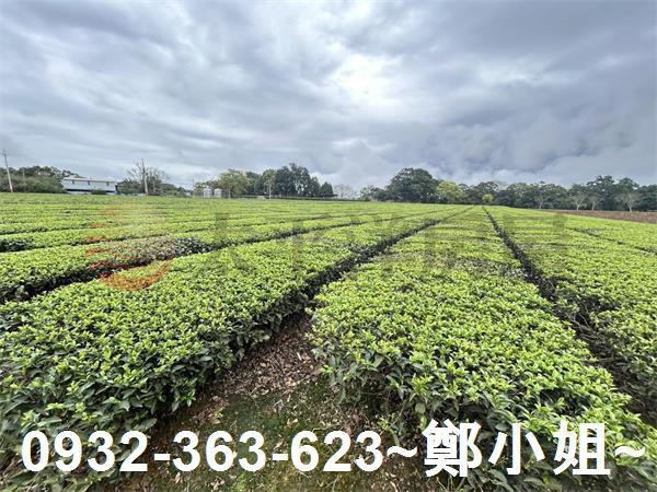 桃園龍潭農地-1