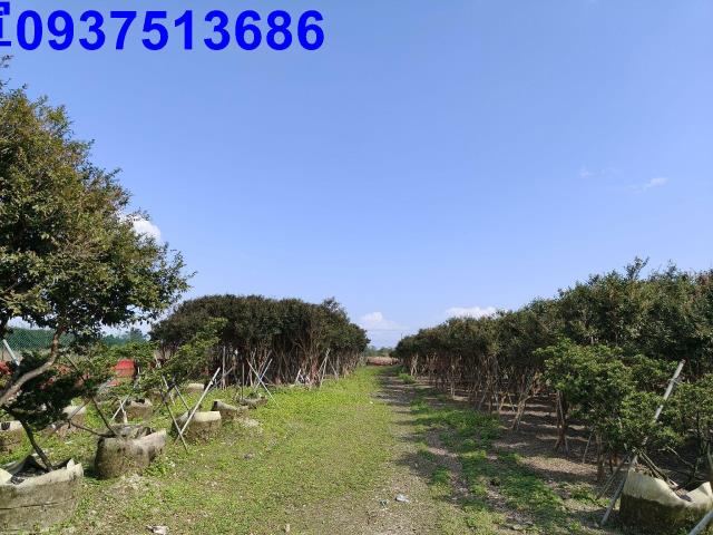 宜蘭礁溪農地-3