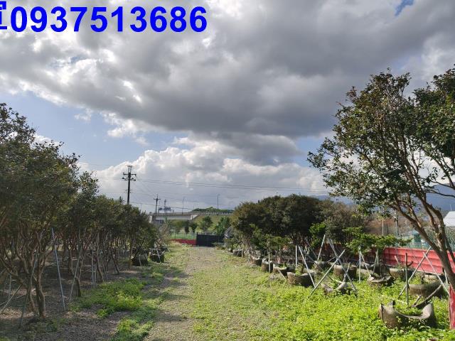 宜蘭礁溪農地-9