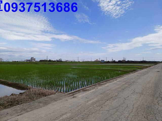 宜蘭壯圍農地-2