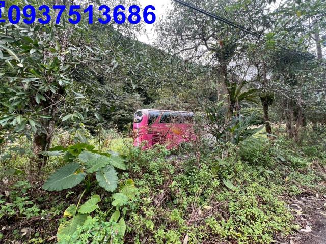 宜蘭員山農地-5