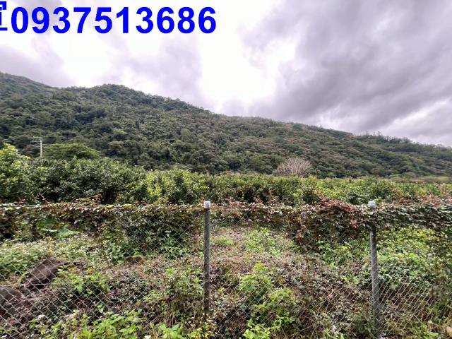 宜蘭員山農地-8