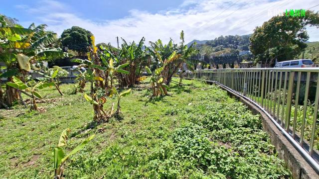 新竹橫山農地-14