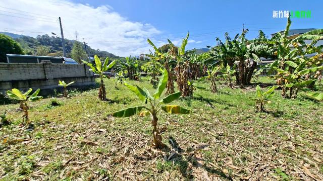 新竹橫山農地-7