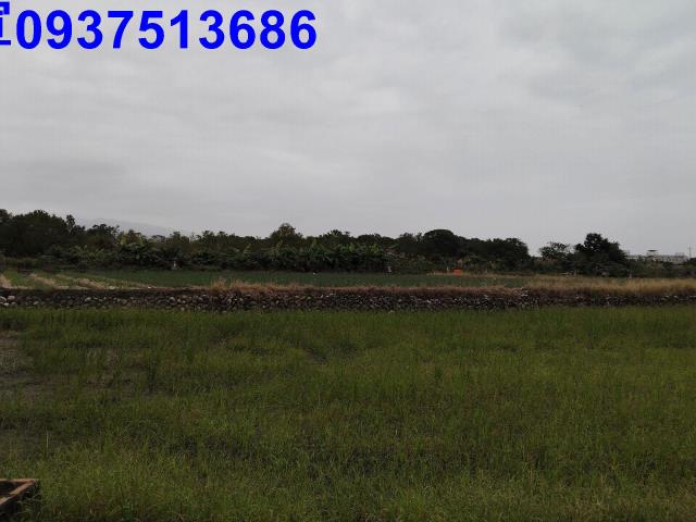 宜蘭三星農地-11