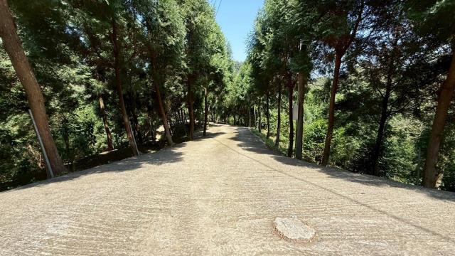 新竹橫山農地-15