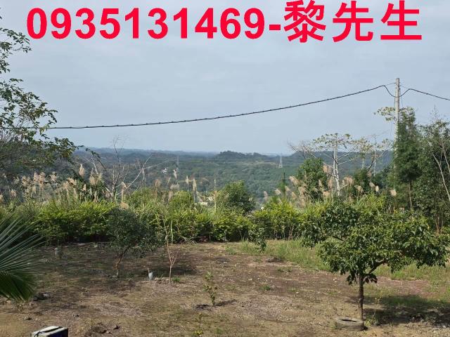 新竹橫山農地-3