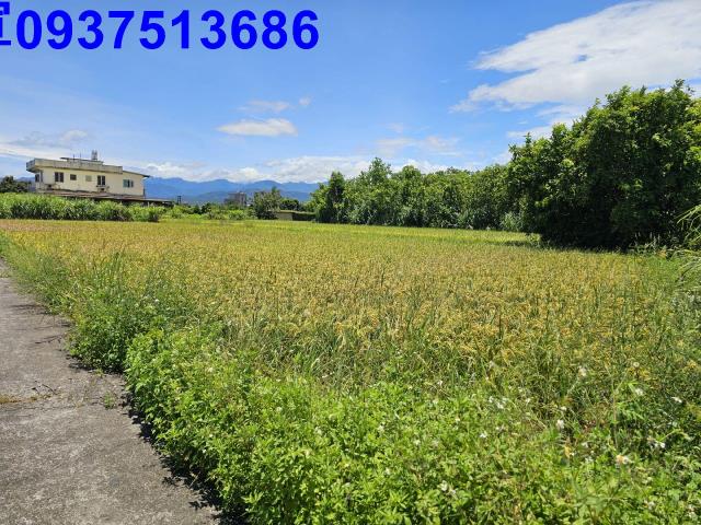 宜蘭員山農地-2