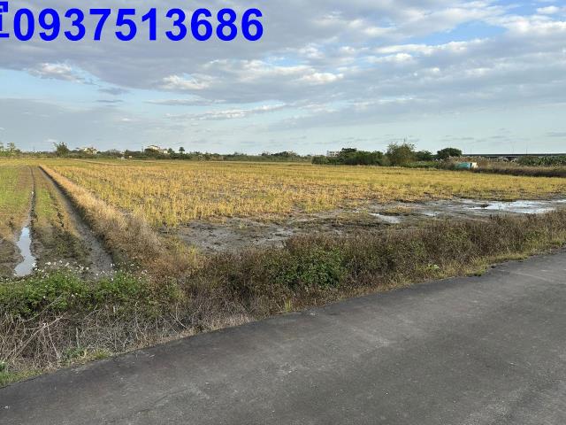 宜蘭壯圍農地-10