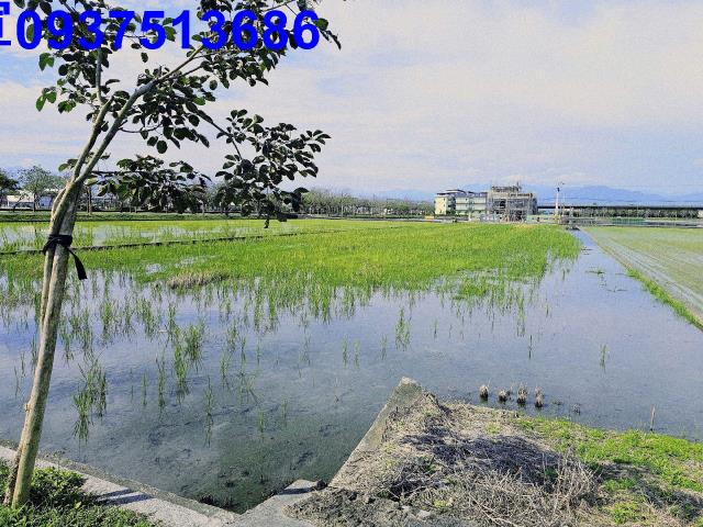 宜蘭壯圍農地-15