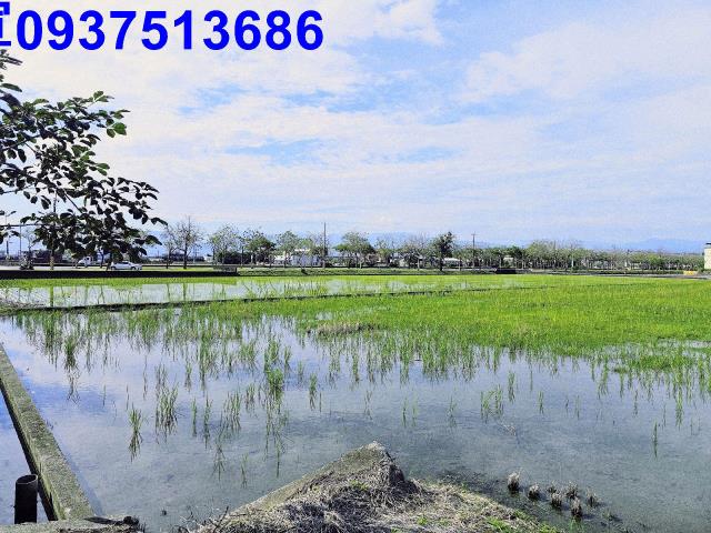 宜蘭壯圍農地-7