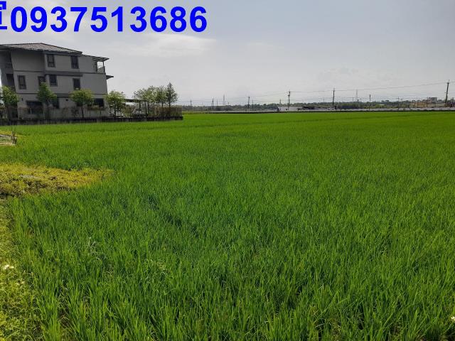 宜蘭礁溪農地-3